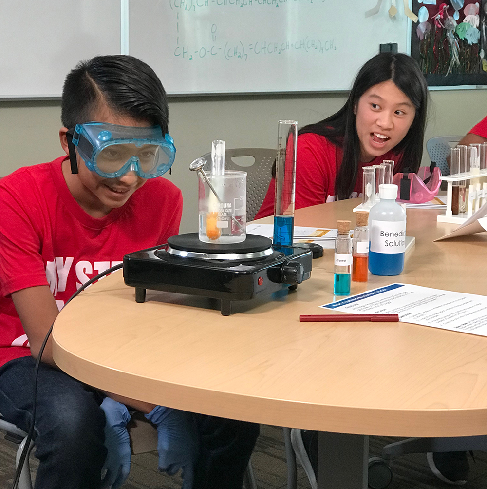 STEM students in class